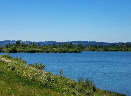 Meadowlark Estates
