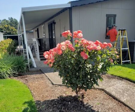 Paradise Island Park