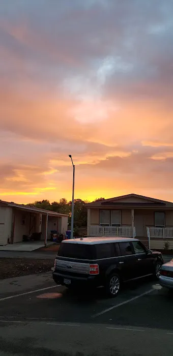 Paradise Island Park Picture 5