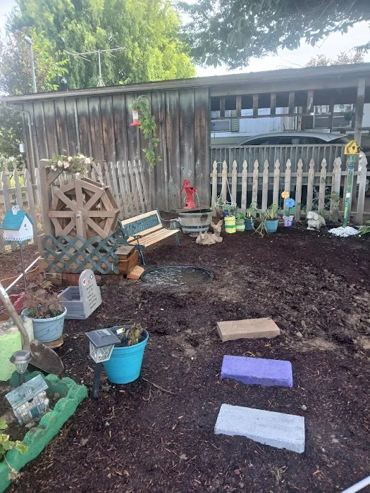 Paradise Island Park Picture 9