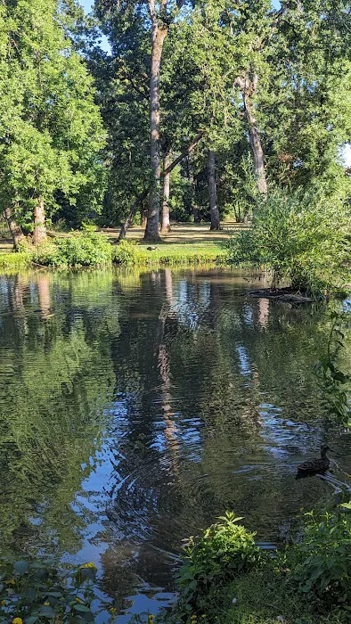 Paradise Island Park Picture 10