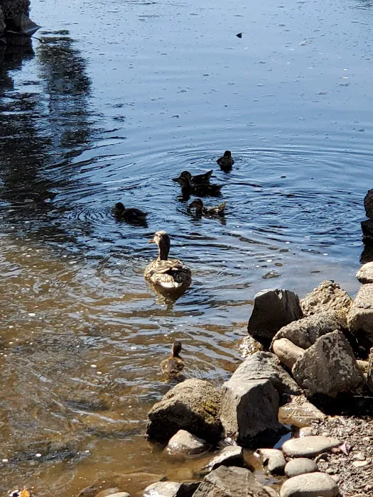 Lakeside Village Mobile Home Community Picture 5