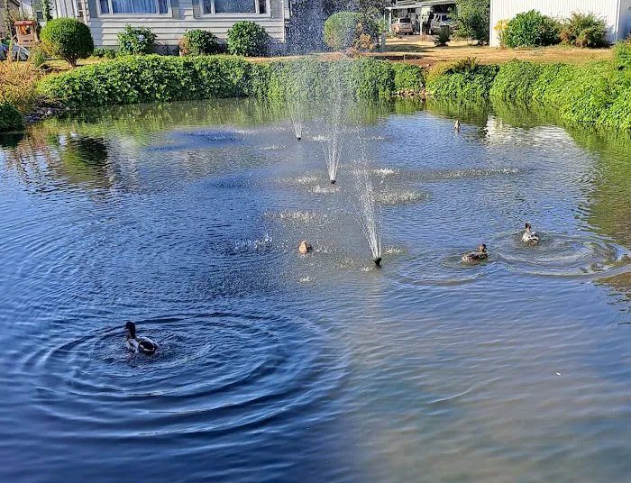 Lakeside Village Mobile Home Community Picture 7