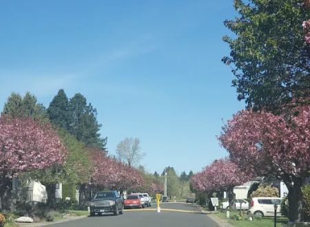Brookside Mobile Home Park