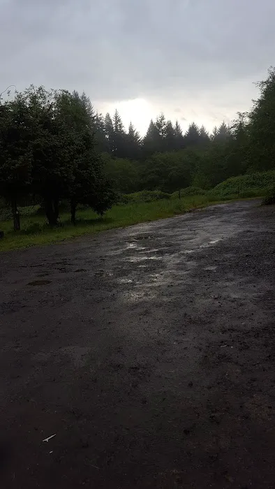 Svensen Mobile Home Park Picture 1