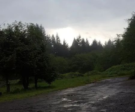 Svensen Mobile Home Park