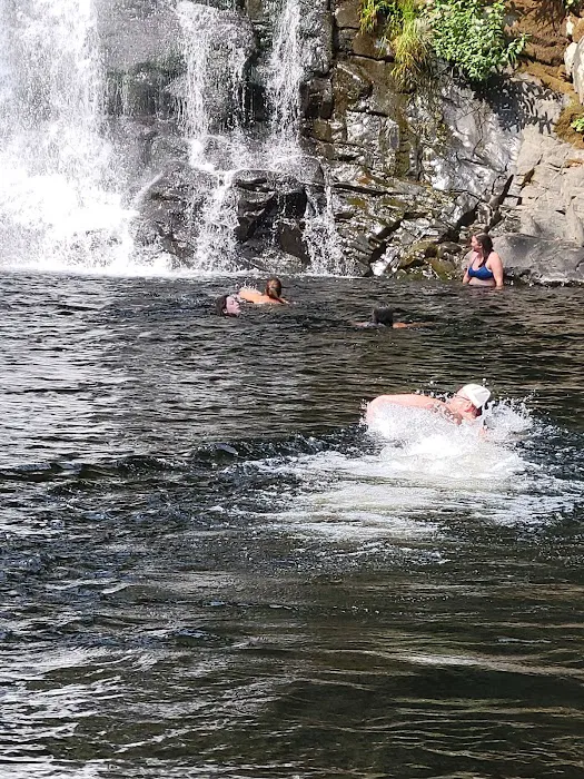 Klaskanine River RV Park Picture 1