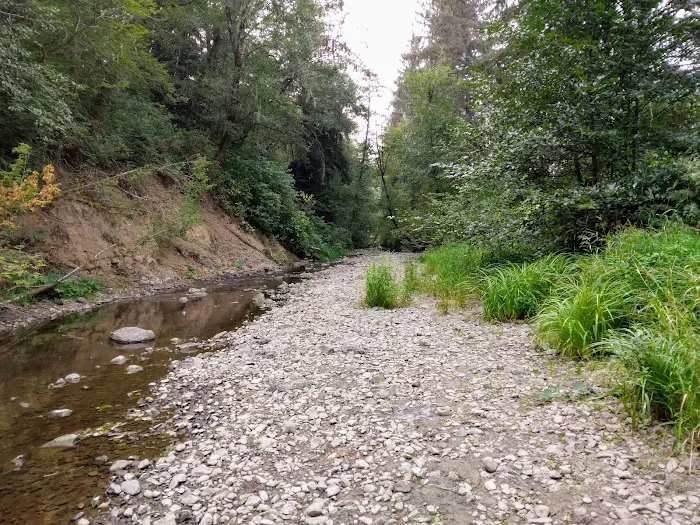 Klaskanine River RV Park Picture 8