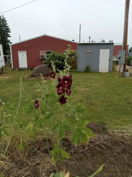 Frost Road Mobile Home Park Picture 5