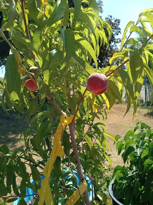 Frost Road Mobile Home Park Picture 4