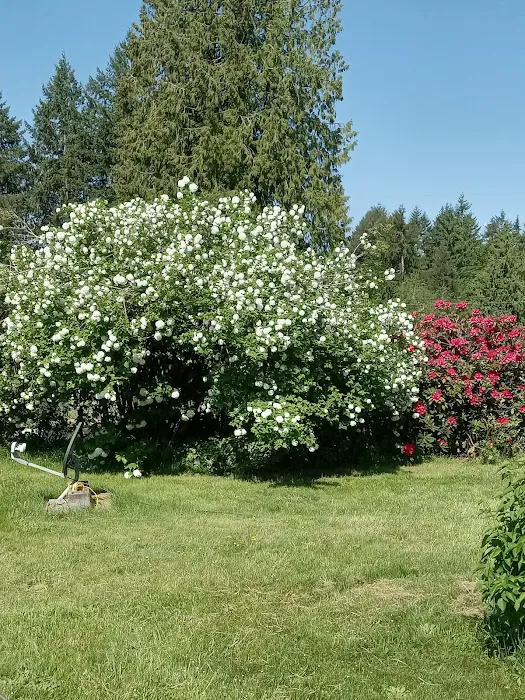 Frost Road Mobile Home Park Picture 8