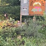 This is the Way RV Community