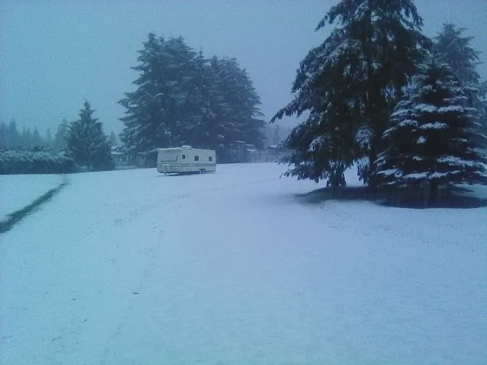 Parkwood Mobile Home Estates Picture 4