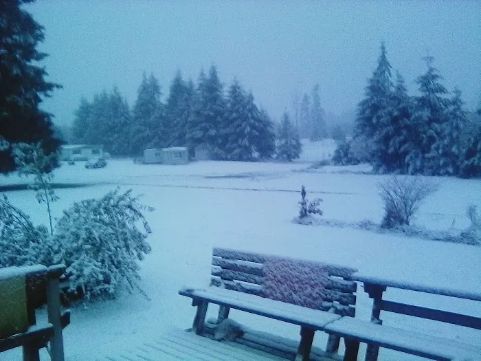 Parkwood Mobile Home Estates Picture 5