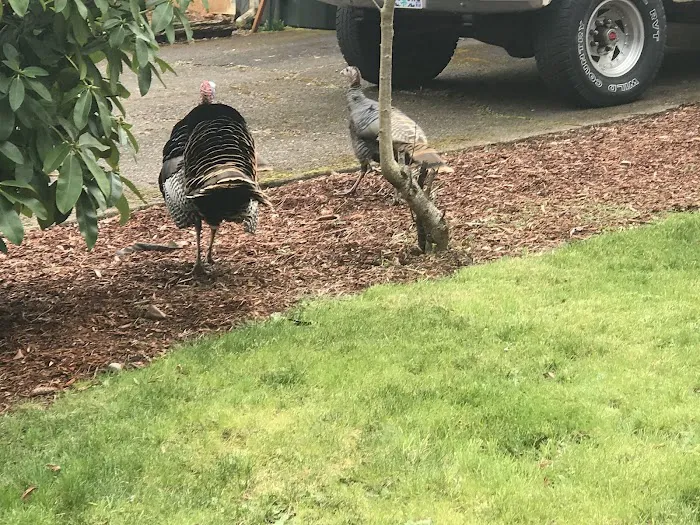 Southbrook Mobile Home Park Picture 8