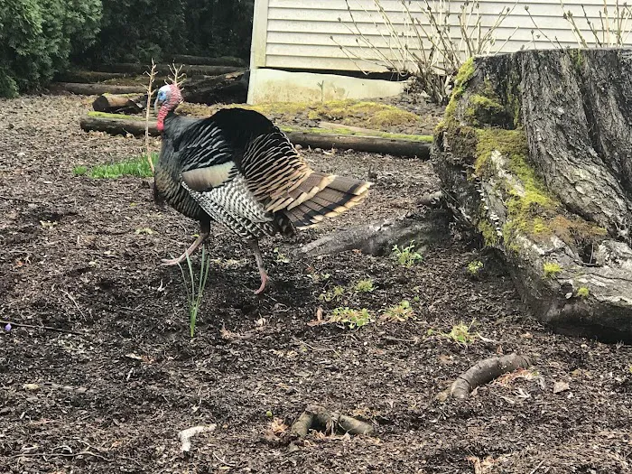 Southbrook Mobile Home Park Picture 9