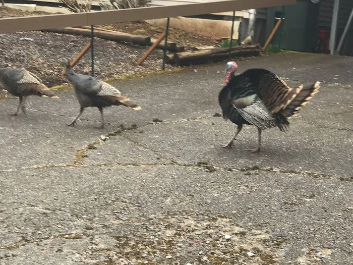 Southbrook Mobile Home Park Picture 7