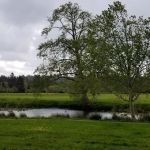 Lewis & Clark Golf & RV Park