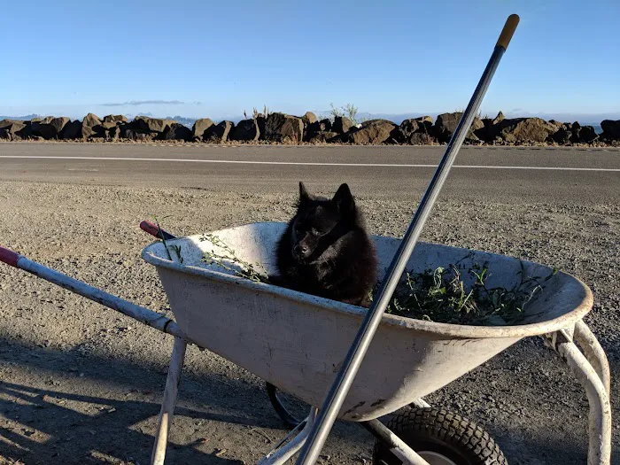 RV Park At The Bridge Picture 7