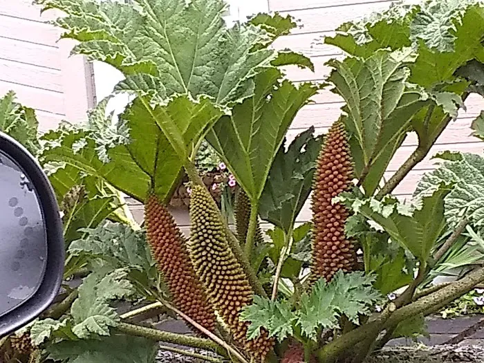 Glenwood Village Picture 1