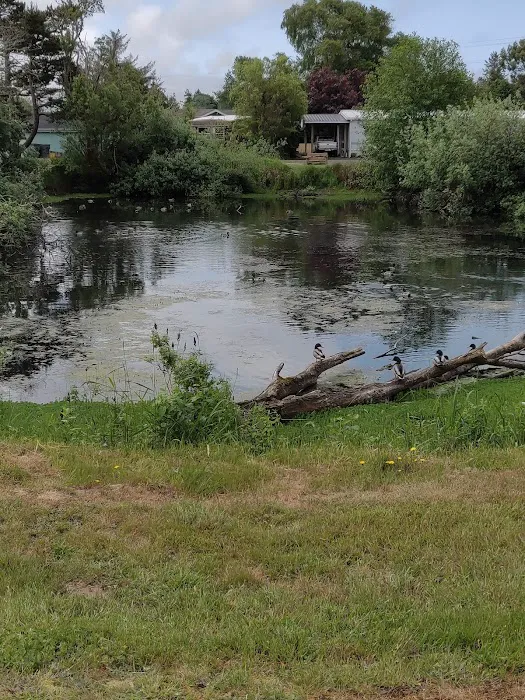 Glenwood Village Picture 7