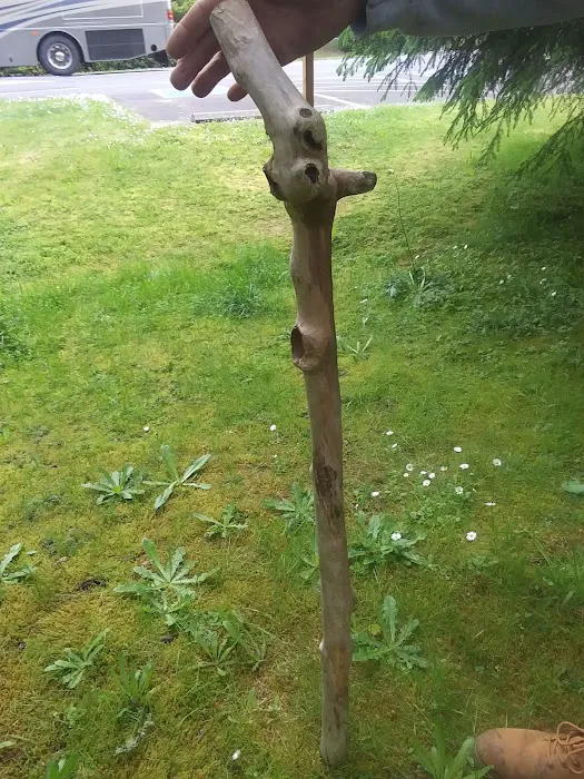 Alder Manor Mobile Home Park Picture 6