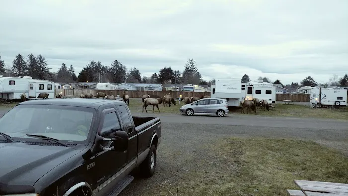 Kampers West Kampground Picture 2