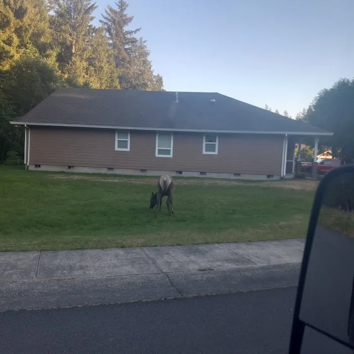 Kampers West Kampground Picture 10