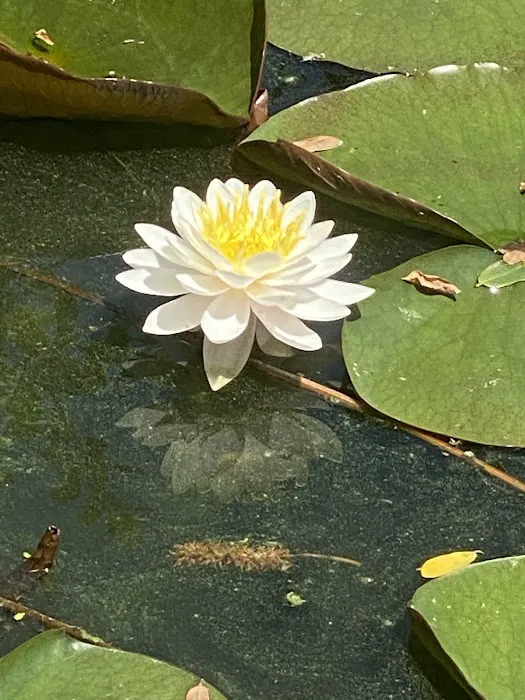 Sunset Lake Campground & RV Park Picture 6