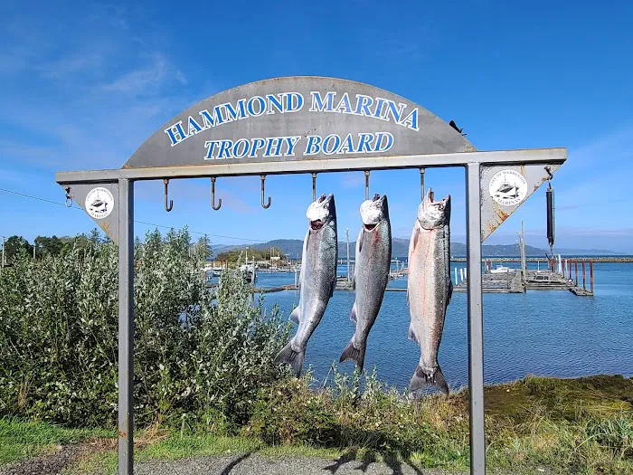 Hammond Marina RV Park Picture 2