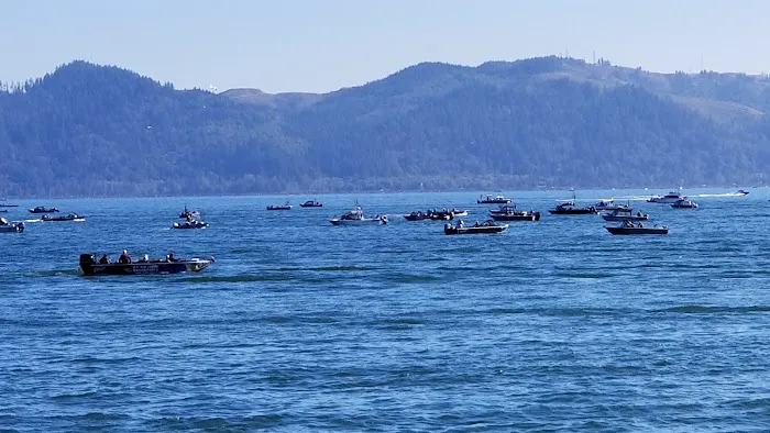 Hammond Marina RV Park Picture 6