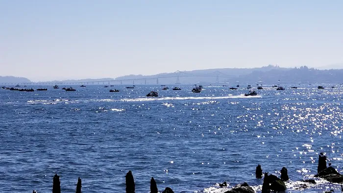 Hammond Marina RV Park Picture 7