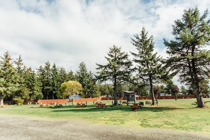 KM Resorts - Columbia Shores RV Resort Picture 3