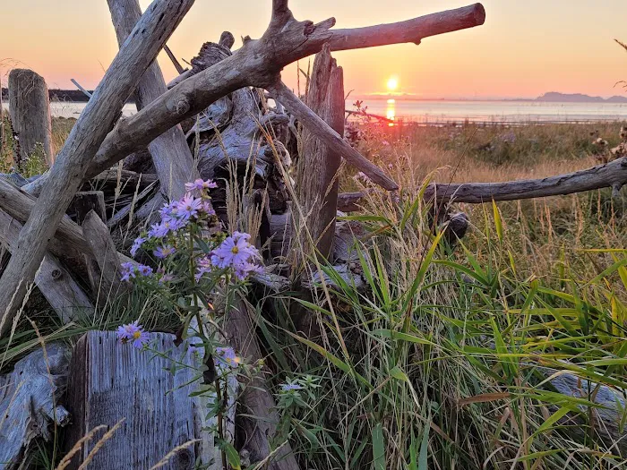 Chinook RV Park Picture 5