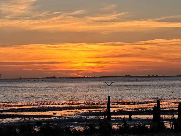 Chinook RV Park Picture 7