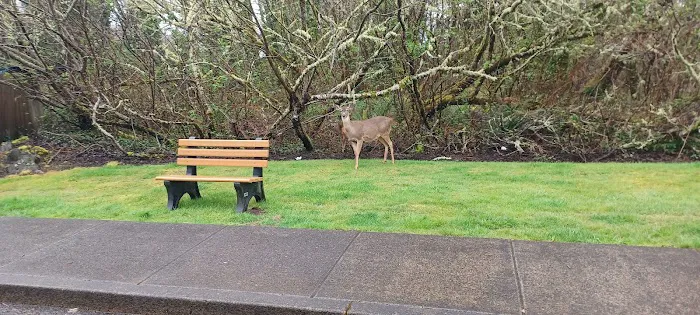 Shore Terrace Estates Picture 1