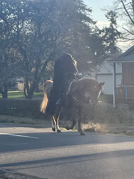 Chinook Trailer Park Picture 1