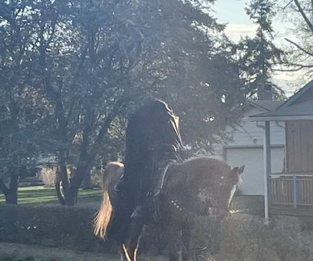 Chinook Trailer Park