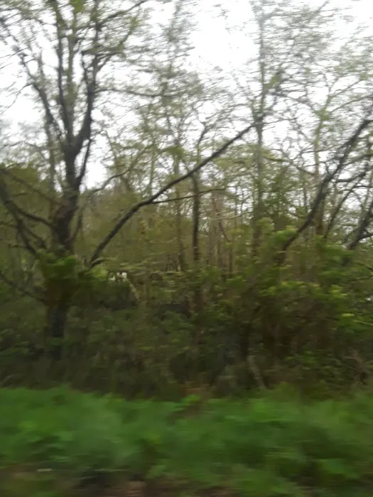 Chinook Trailer Park Picture 6