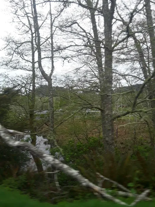 Chinook Trailer Park Picture 7