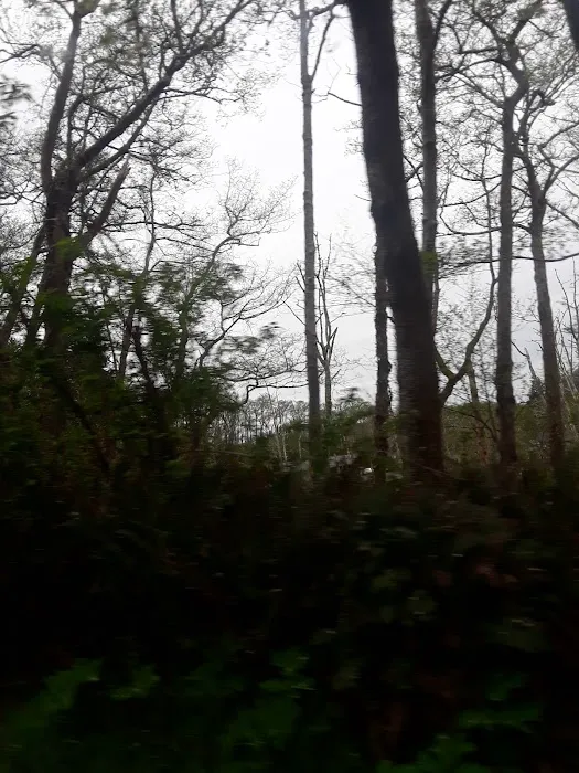 Chinook Trailer Park Picture 9