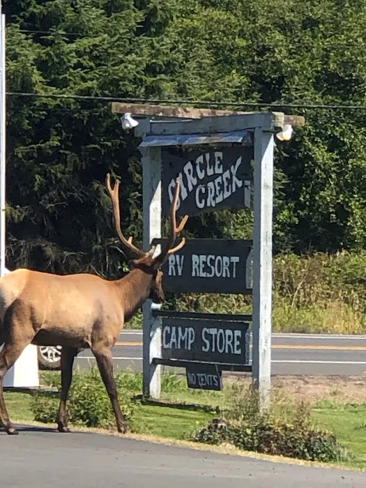 Circle Creek RV Resort Picture 2