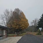 Stan Hedwall RV Park