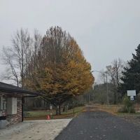 Stan Hedwall RV Park ico