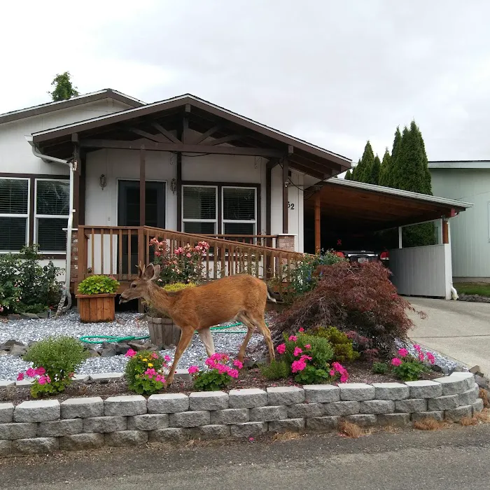 Society Place Mfr Home Park Picture 2