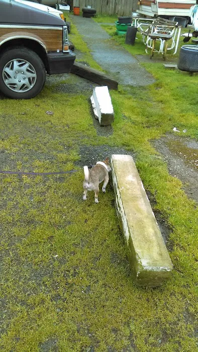 Mt View RV Park Picture 4