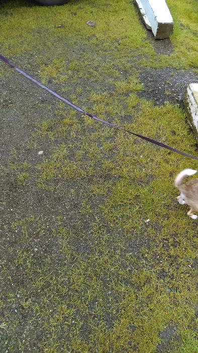 Mt View RV Park Picture 5