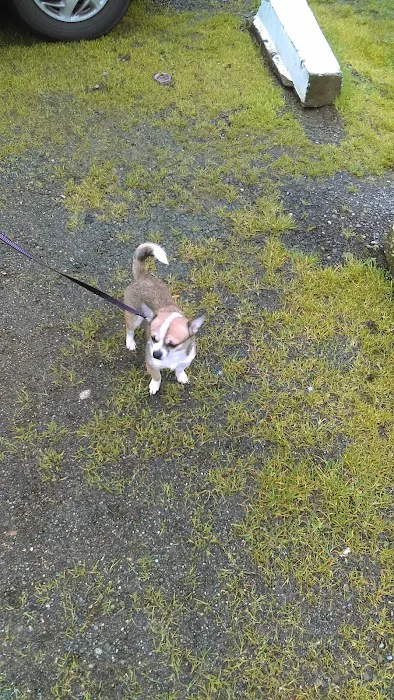 Mt View RV Park Picture 6