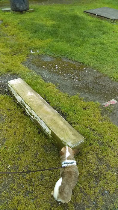 Mt View RV Park Picture 7