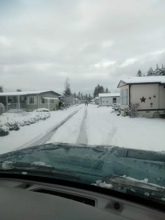 Village Park Picture 2